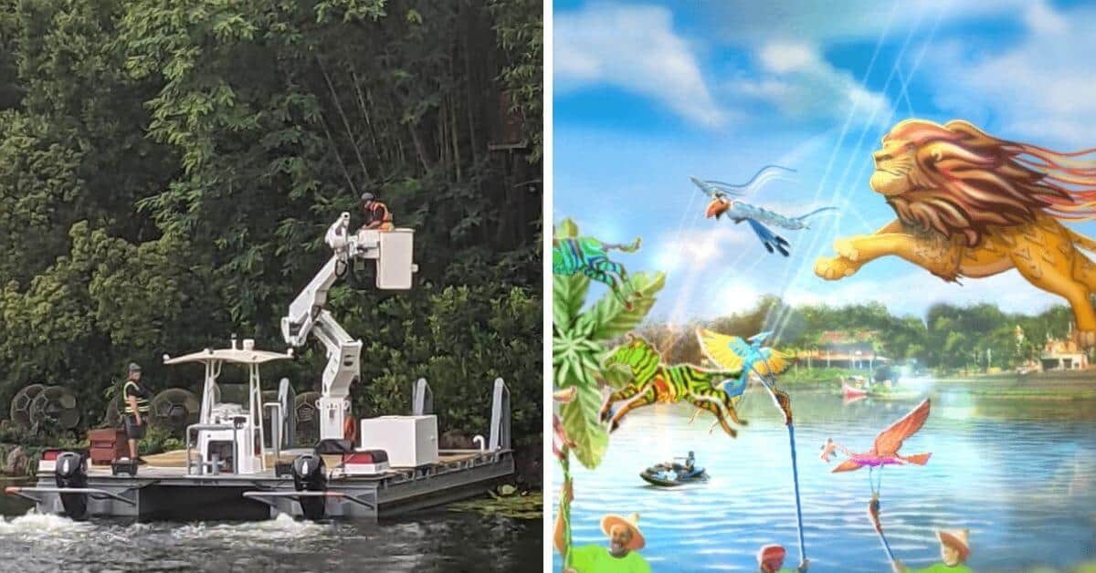 construction work at animal kingdom (left) kitetails show (right)