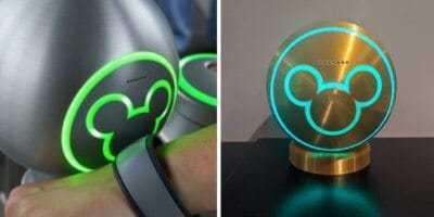 Magicband scanner