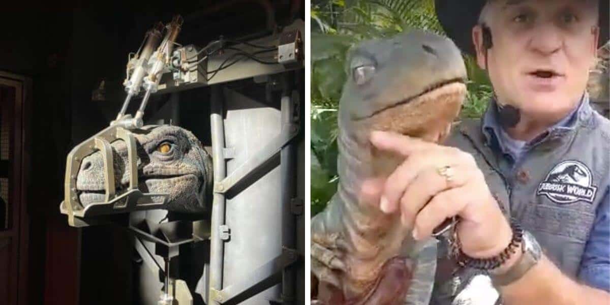 raptors at universal velocicoaster