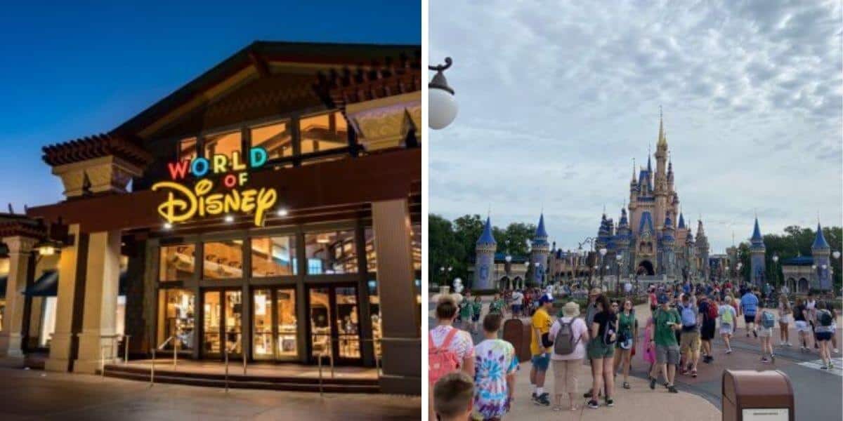 disney fire arm