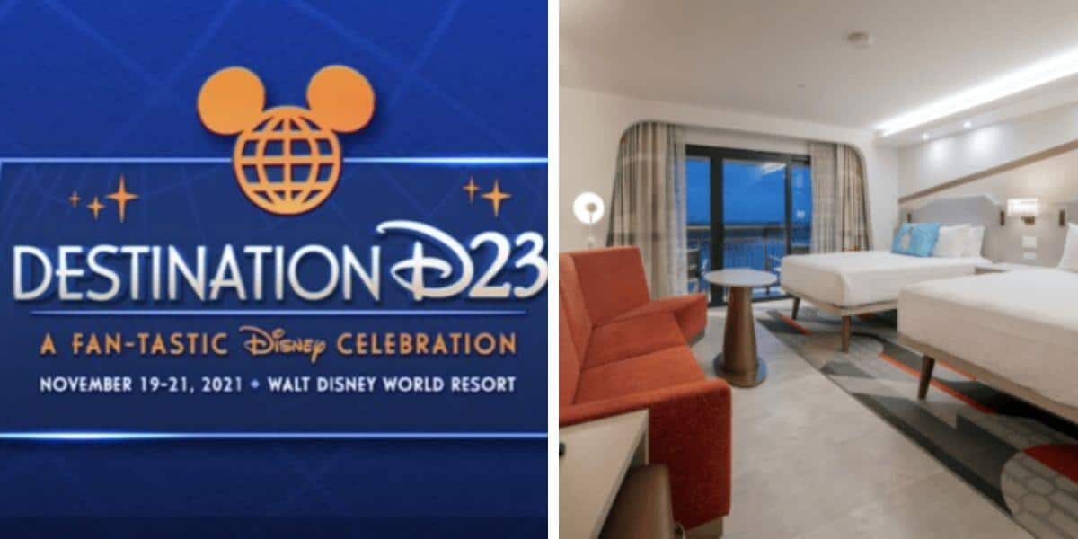 d23