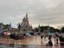 crowds magic kingdom fireworks