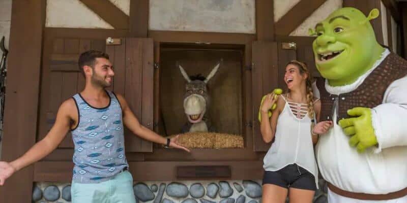 Donkey Meet & Greet