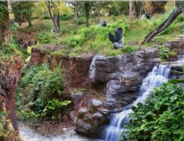Gorilla Falls