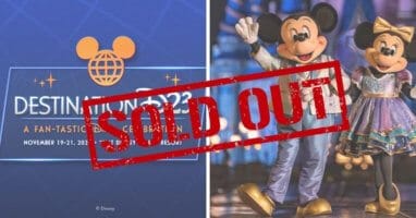 destination d23 sold out