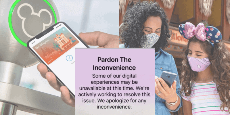 disney parks online services and error message