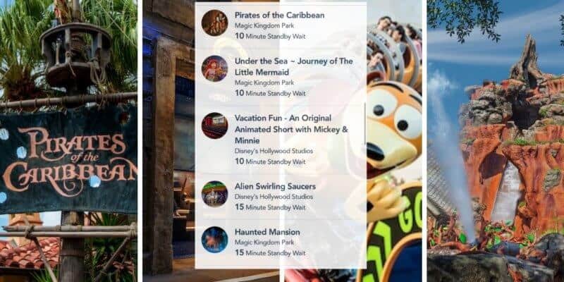 disney world wait times