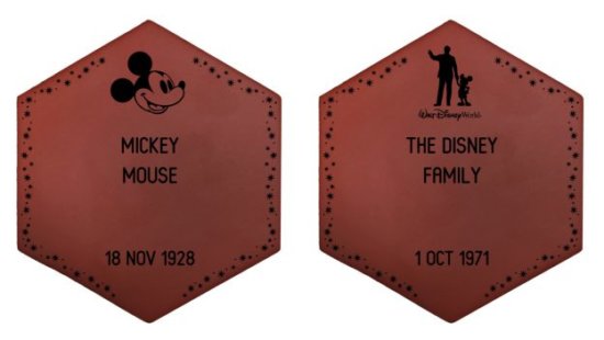 Disney Bricks