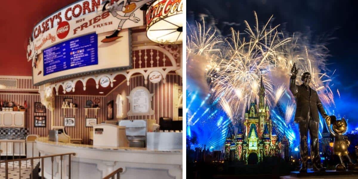 Fireworks over Magic Kingdom