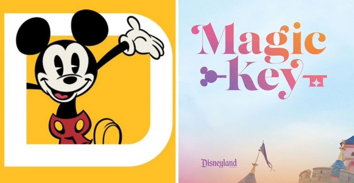 Disney Annual Passes