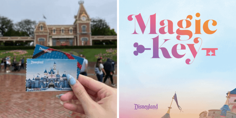 Disneyland Ticket/Magic Key