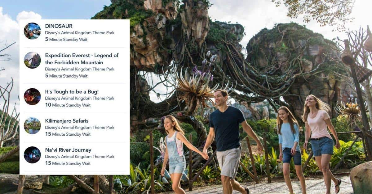 animal kingdom wait times