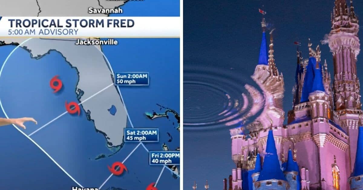 tropical storm fred