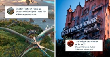 disney world wait times