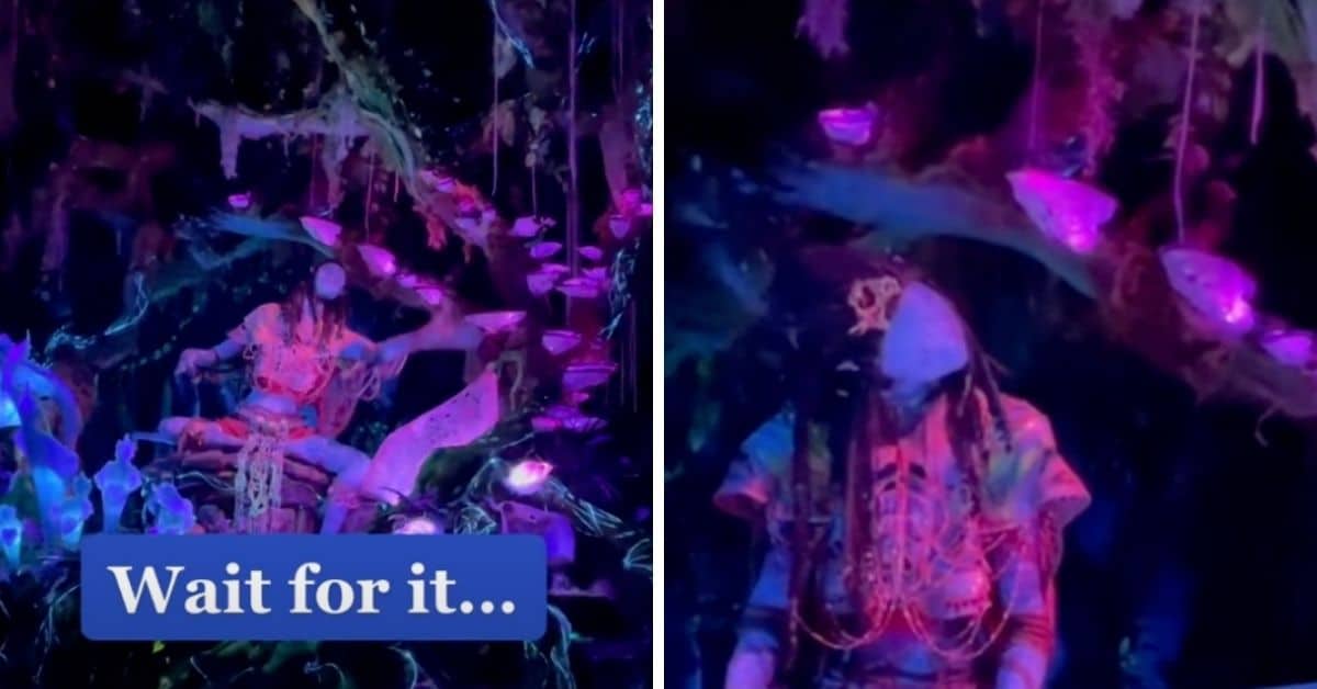 navi river journey animatronic