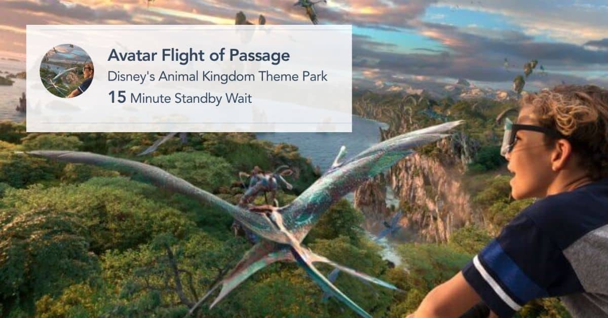 flight of passage wait time
