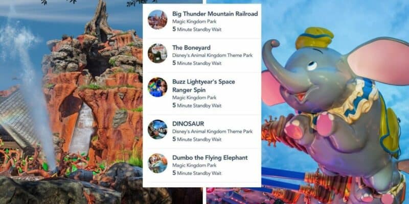 disney world wait times