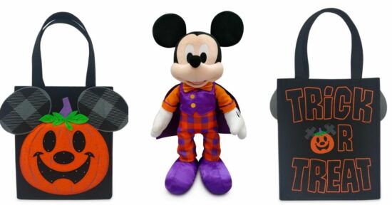 Mickey Halloween plush and trick or treat bag