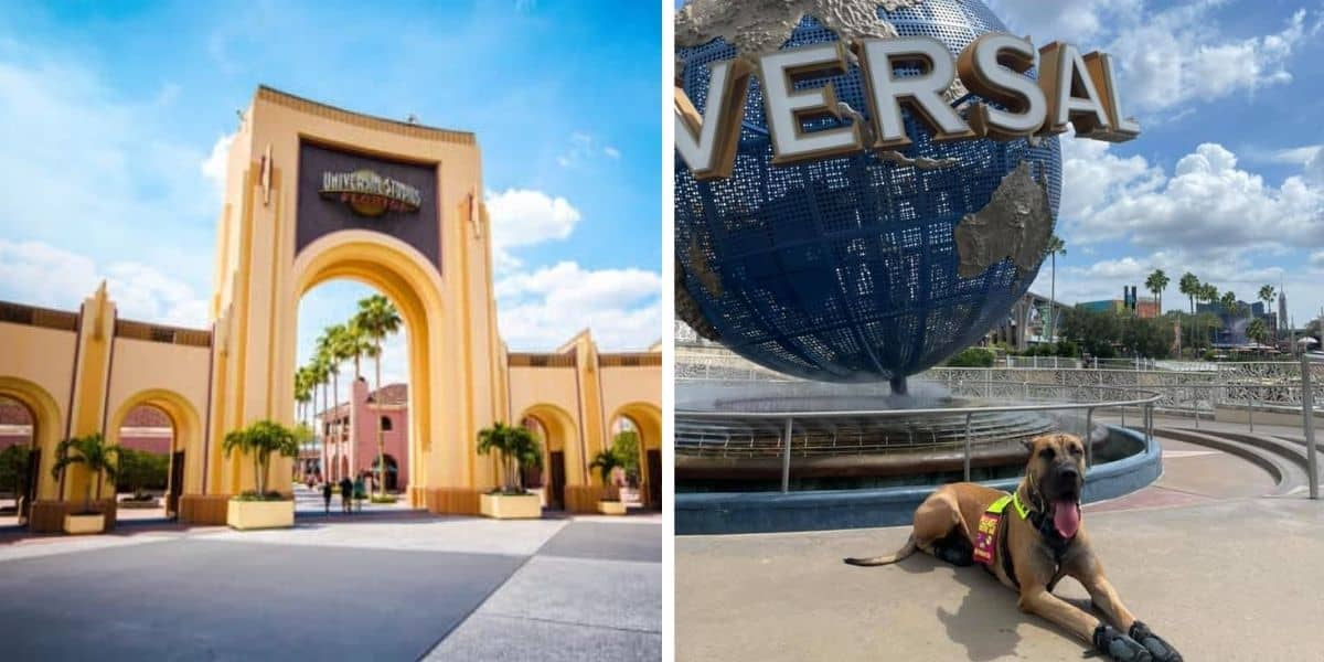 Universal