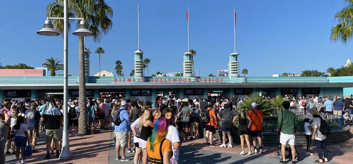 hollywood studios crowds