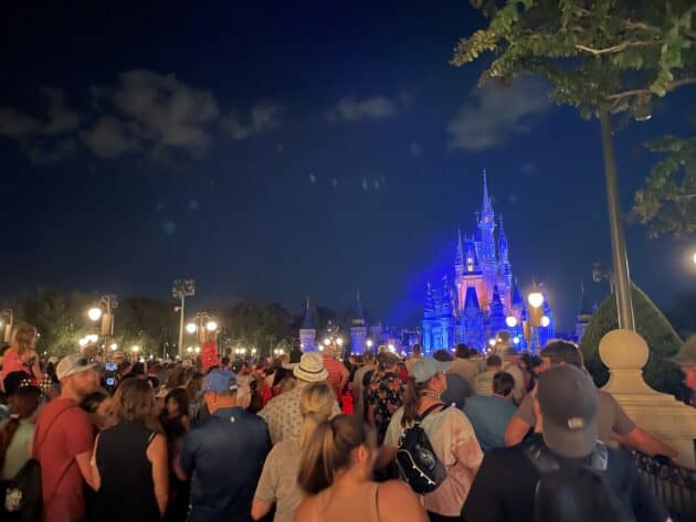 crowds
