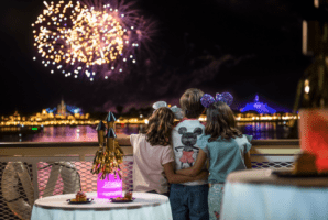 Fireworks in the sky