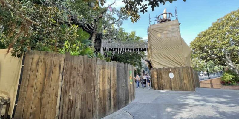 Tarzan's Treehouse Blocked off