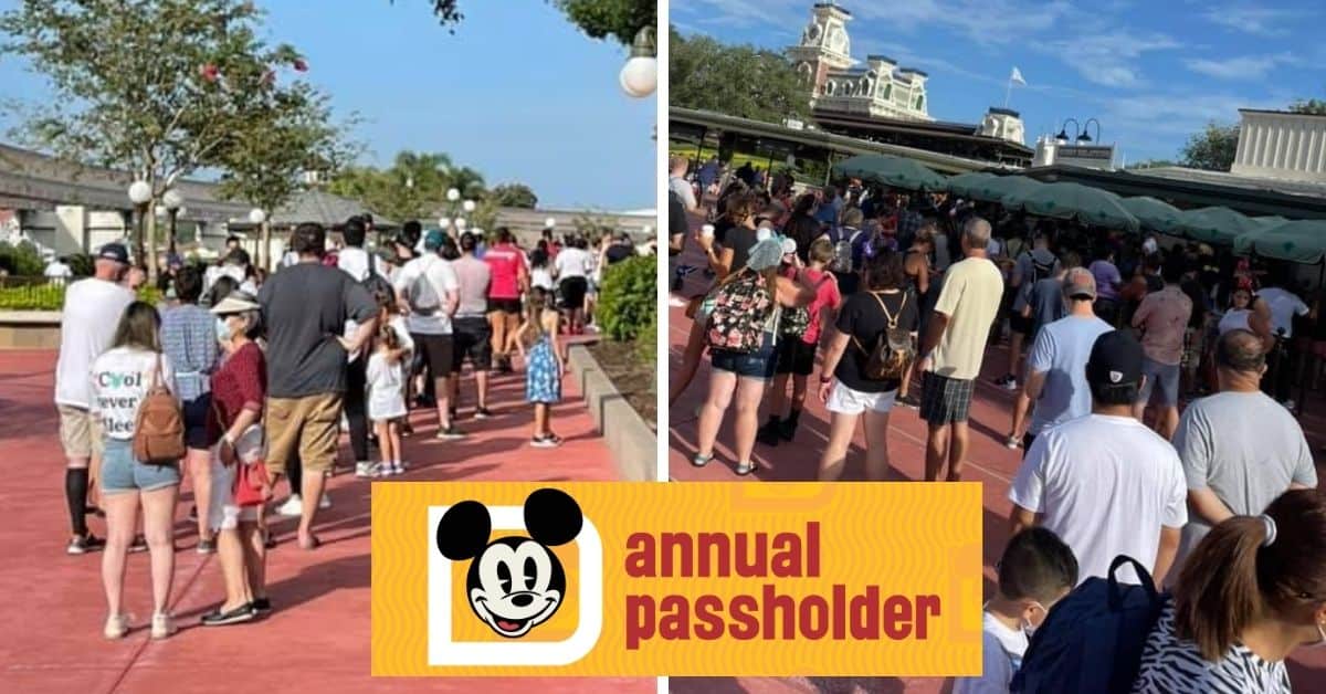 disney world guest services line