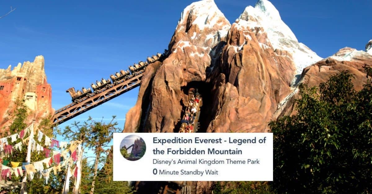 expedition everest animal kingdom