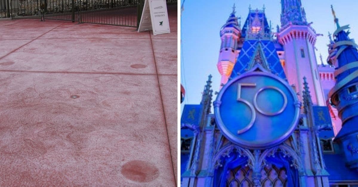 magic kingdom pavement (left) cinderella Castle (right)