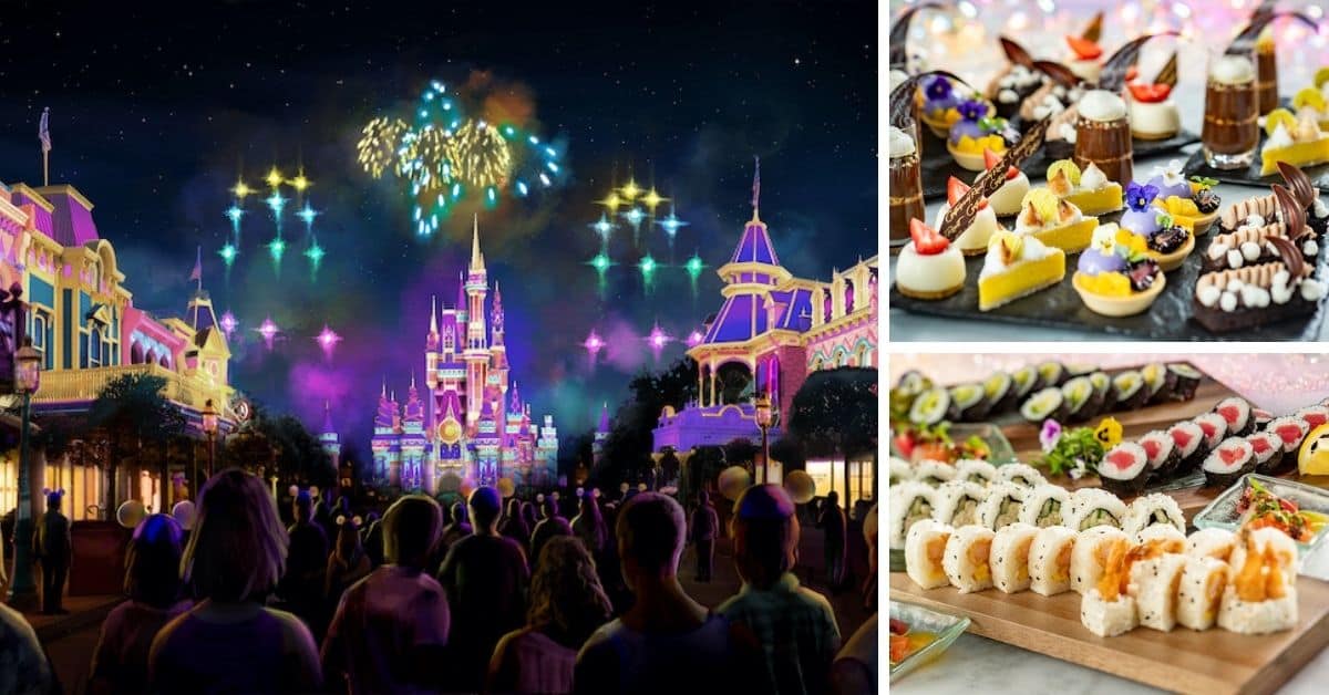 disney enchantment fireworks party