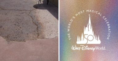 disney pavement 50th