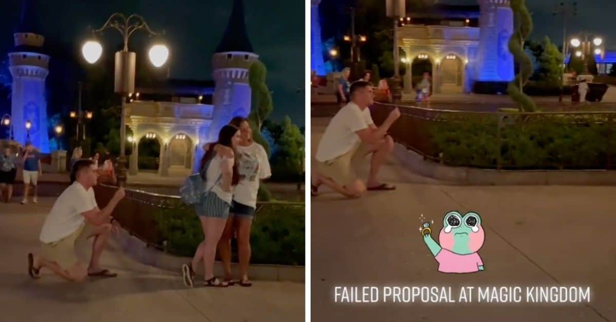 magic kingdom proposal