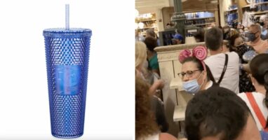 shopdisney 50th tumbler