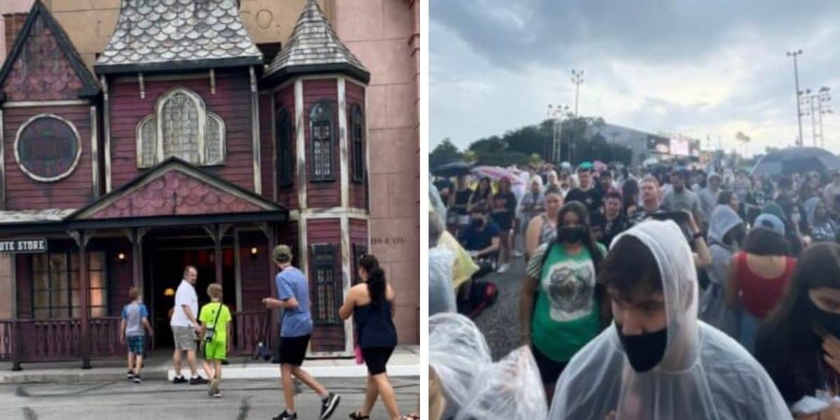 hhn crowds