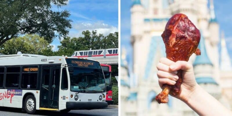 turkey legs
