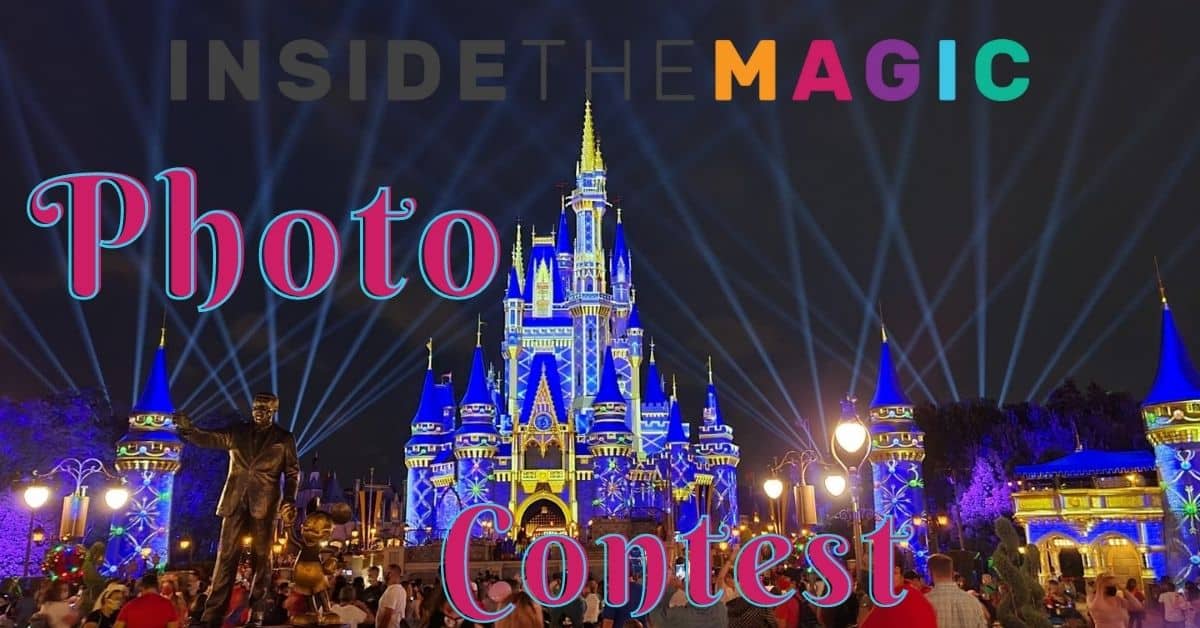 Disney Castle at night