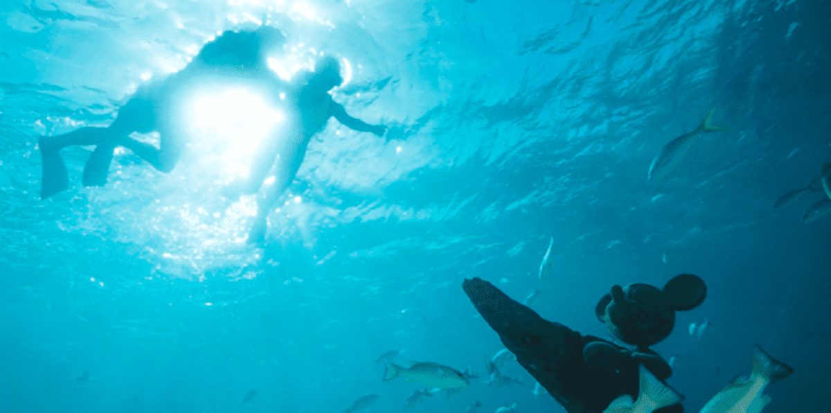 snorkeling castaway cay