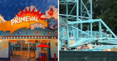 primeval whirl demolition