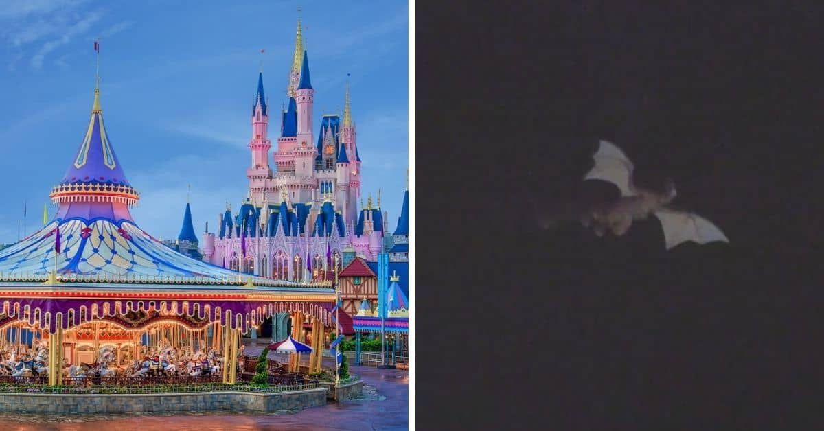 disney world dragon fantasyland