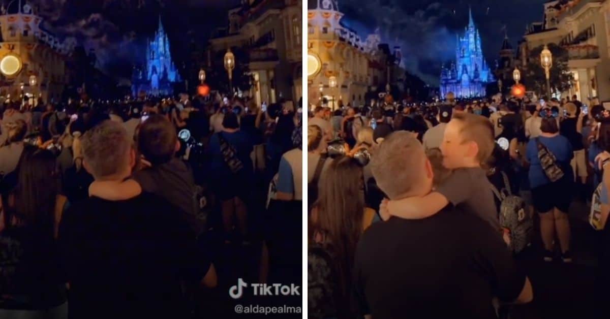 dad and son watching fireworks