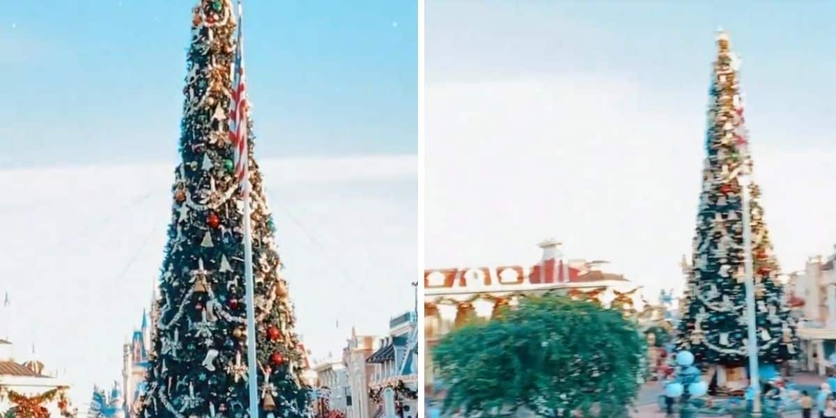 christmas tree
