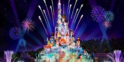 Fireworks in the sky