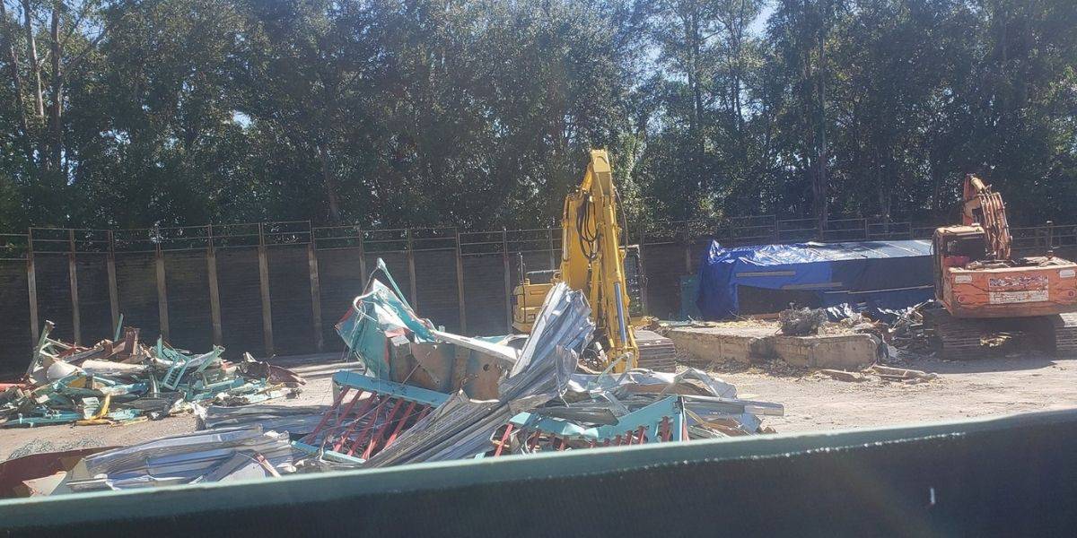 primeval whirl