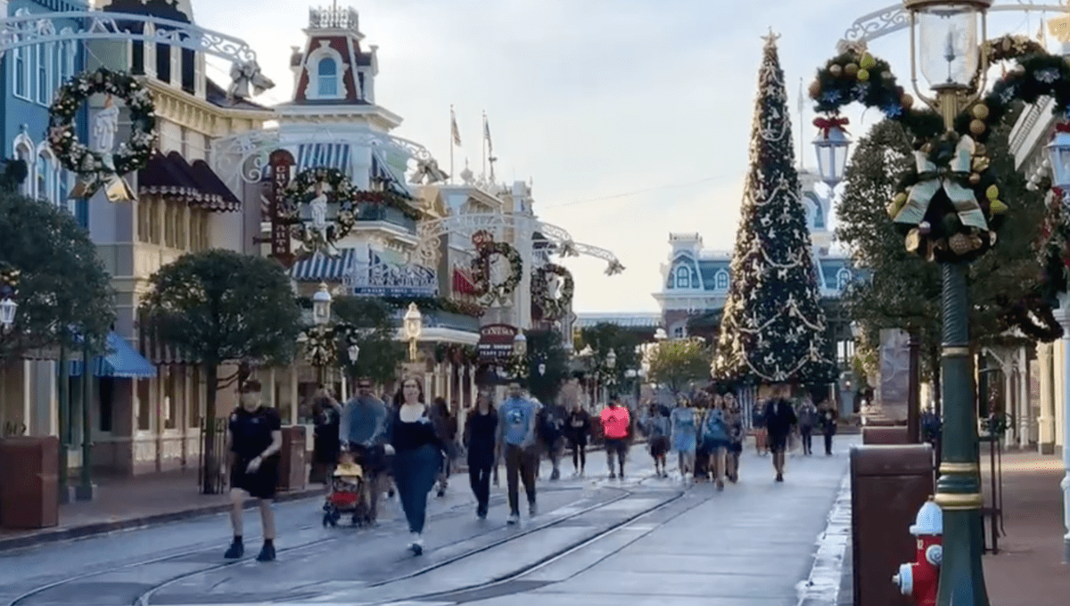 rope drop magic kingdom