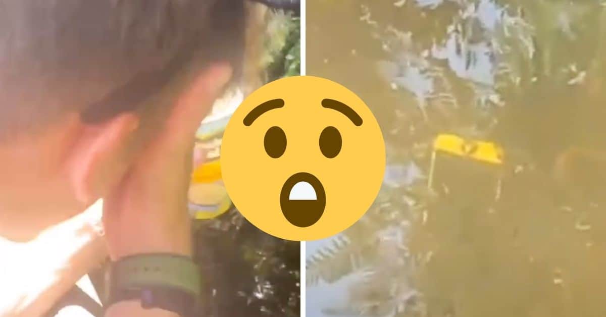 disney world guest drops phone