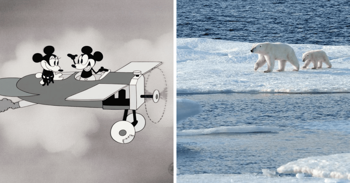 adventures by disney