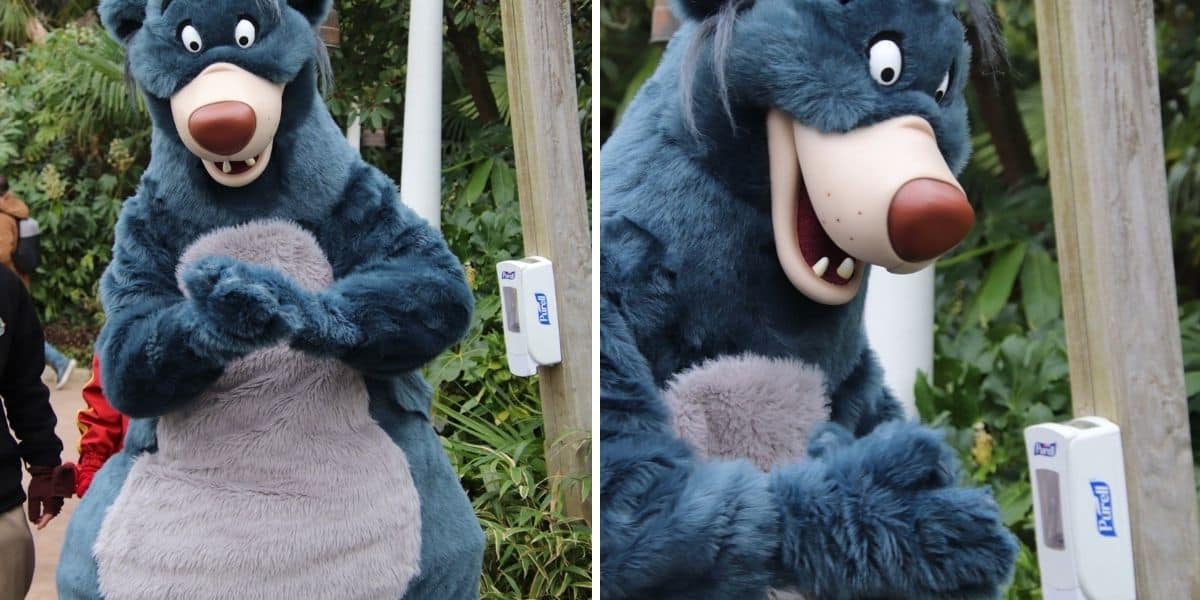 Bears at Disney Park