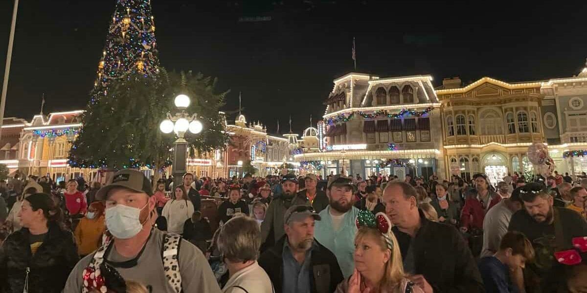 disney after hours crowds