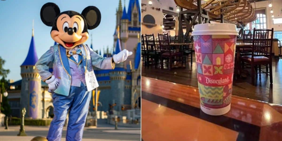 mickey mouse with cinderella castle (right) and disneyland coffee cup at disney world (right)